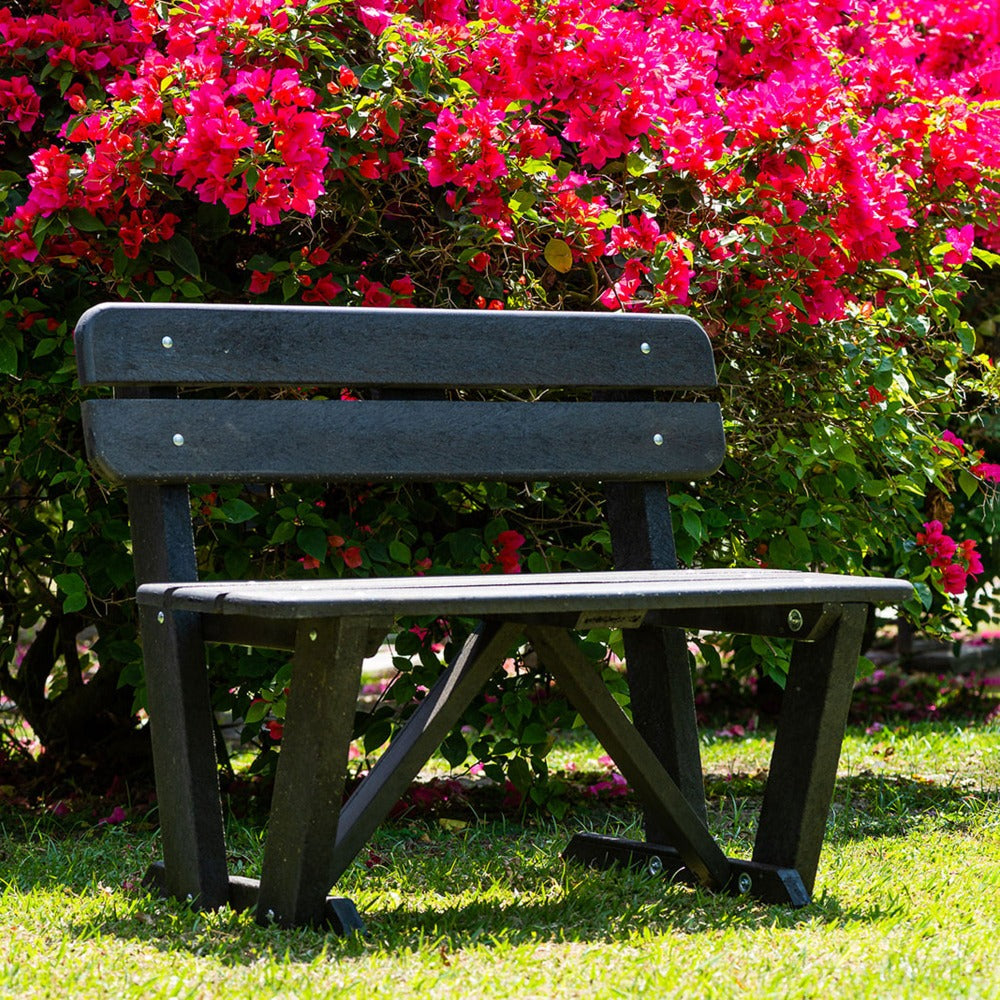Banca parque Begonia