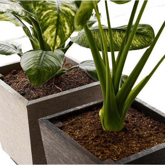 Jardinera para plantas